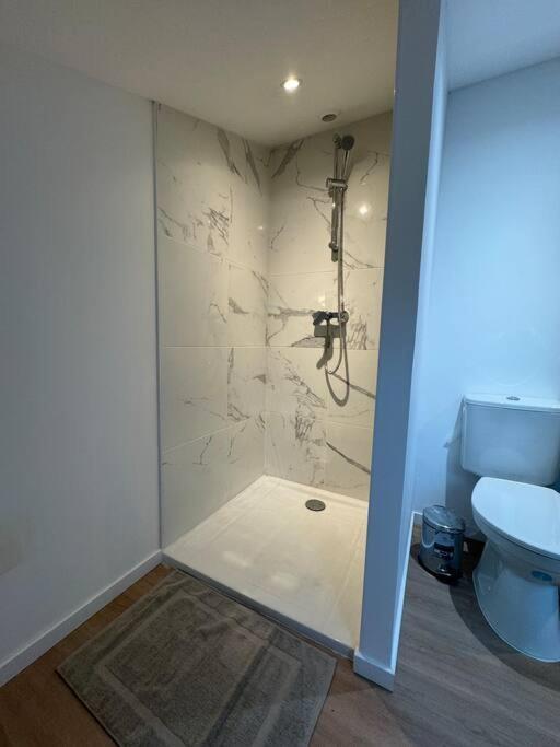 Duplex Fougerais Apartment Fougères Екстериор снимка